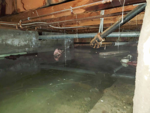Water damage restoration mold remediation in Grant City, MO
