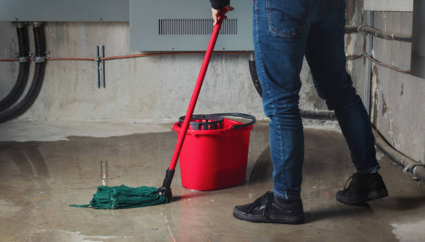 Best Water damage repair service  in Grant City, MO