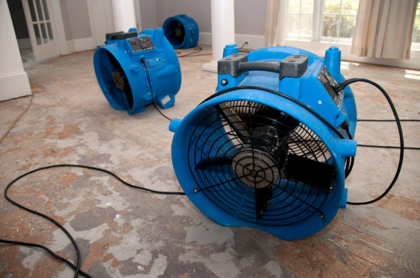 Best Flooded house restoration  in Grant City, MO
