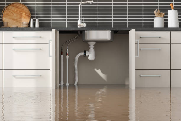 Best Emergency water damage restoration  in Grant City, MO