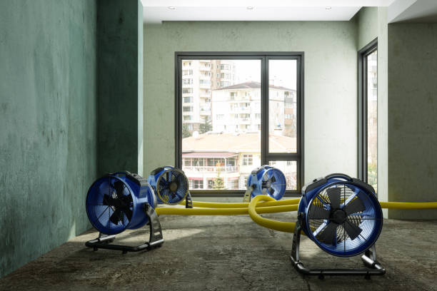 Water damage restoration process in Grant City, MO